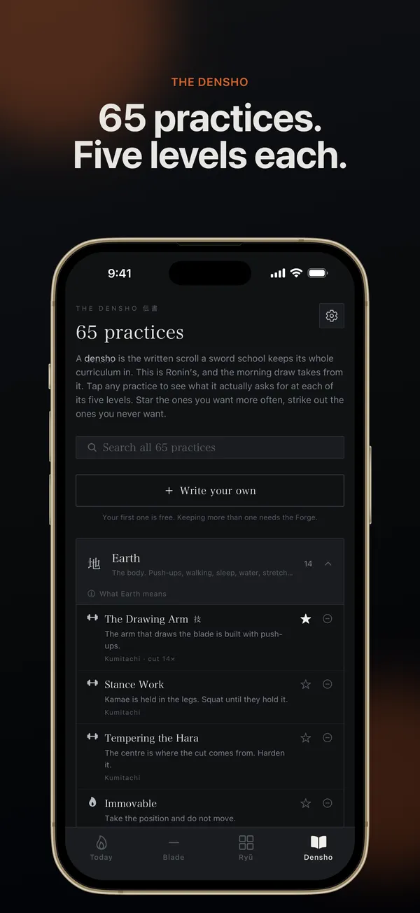 The list of 65 practices, each with five levels